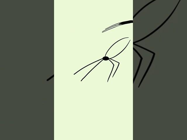 Spider throws it's baby original animation