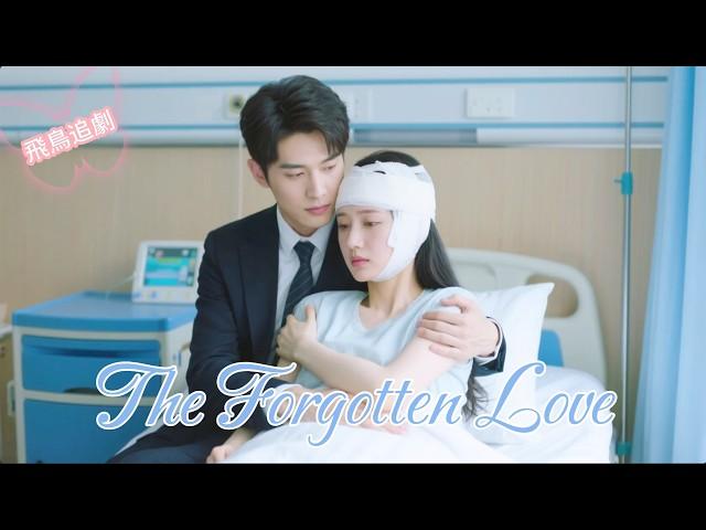 Multi SUB|She became the CEO's contract wife, but CEO fell in love with her after she lost memory! 