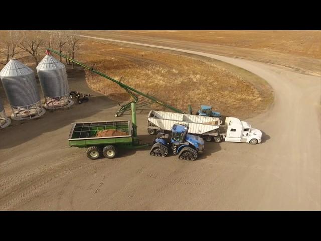 Flax harvest 2017. Canada. MY AGRO