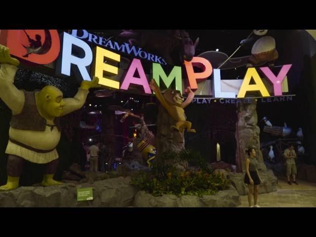 DREAMPLAY: What We Love At DreamPlay!