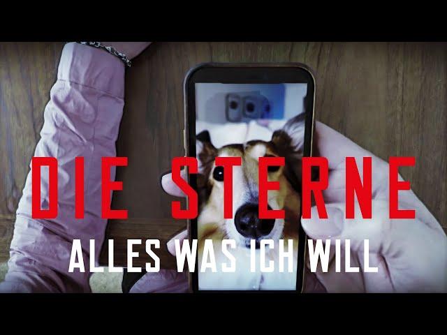 Die Sterne - Alles was ich will (Offizielles Video)