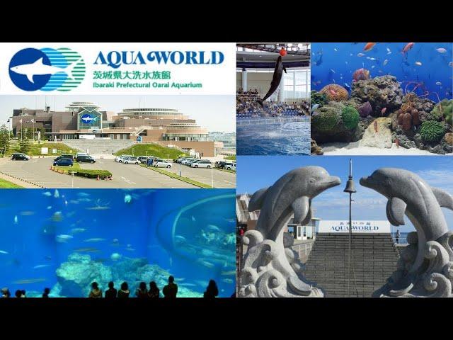 Aqua World Ibaraki Oarai Aquarium #japan #travel