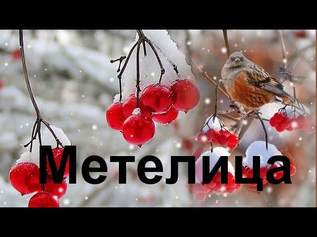 С .Трандафилов -  Метелица/COVER/