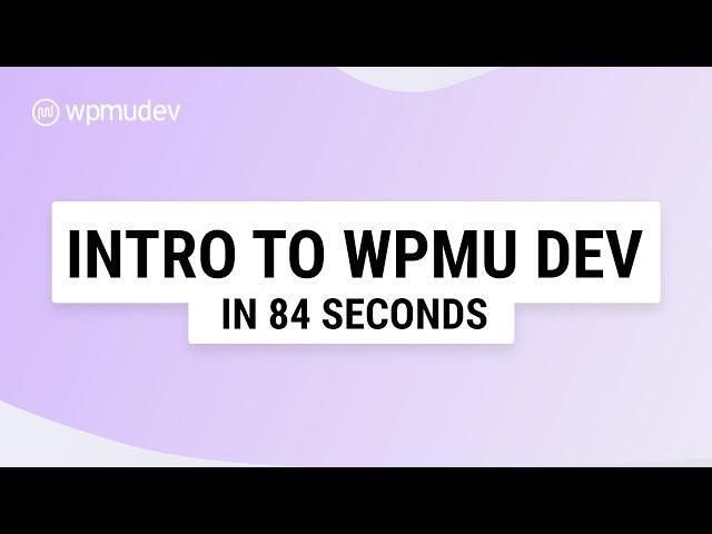 WPMU DEV - The Platform For Your WordPress Business