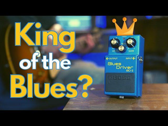 The Best BUDGET Overdrive Guitar Pedal | Blues Driver Demo