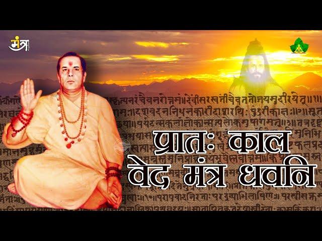 Prahtah Kaal Ved Mantra Dhwani | प्रातः काल वेद मंत्र ध्वनि | By - Gurudev Dr. Narayan Dutt Shrimali