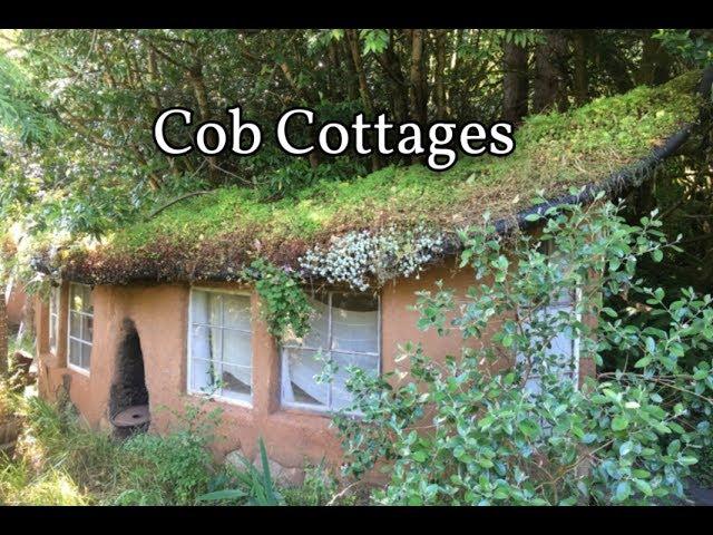 Can You Make A HOUSE FROM DIRT? Cob Cottage Tour!