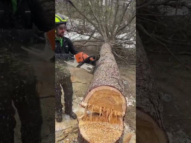 When They Make a Fuel Injected Chainsaw…