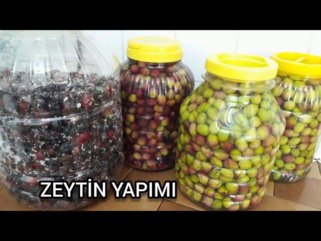 (SİYAH,YEŞİL,MOR)ZEYTİN NASIL KURULUR