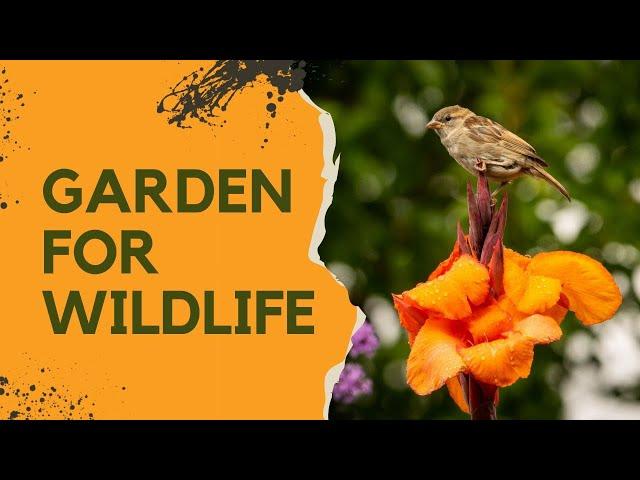 Gardening for biodiversity - why changing the rules is good news for garden lovers!