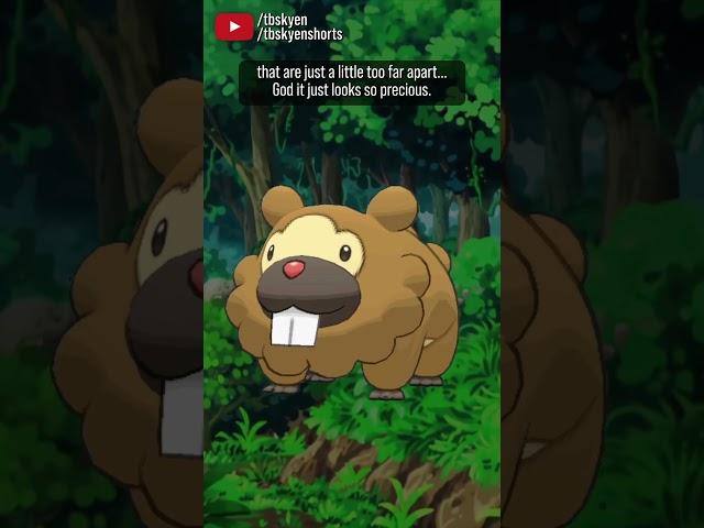  Bidoof  ... and Bibarel, I guess. || #pokemon review