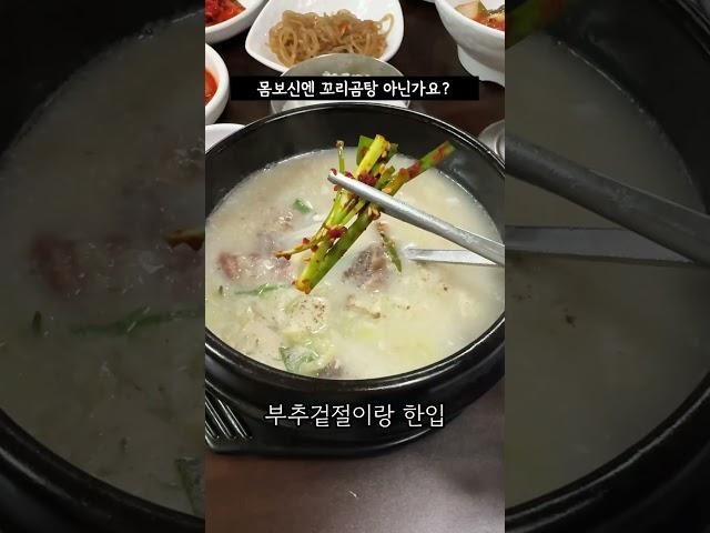 몸보신하고 싶을 때 무슨 음식드세요? 난 꼬리곰탕  #사상맛집 #부산양지탕