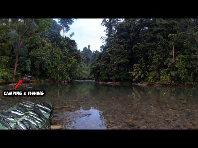 The night by the River Nembak Fish | Fishing Camp Bushcraft Adventure Part 28