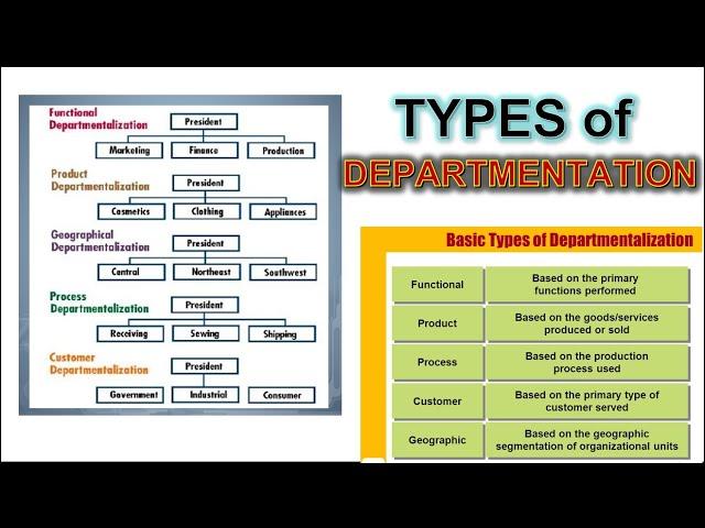 Different Types of Departmentation