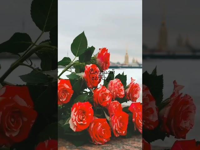 Поздравление из Петербурга,с предстоящим днём 8 Марта!))