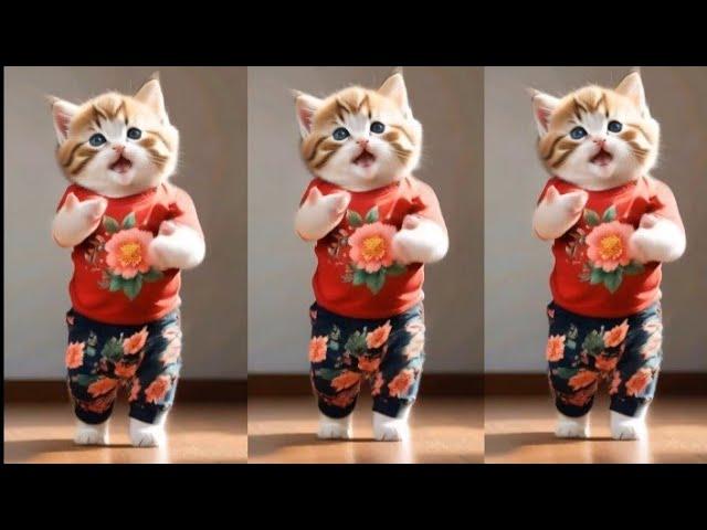 Cute cat funny dancing video#dancingcat #funnypet #catvideos @furry-cornerz