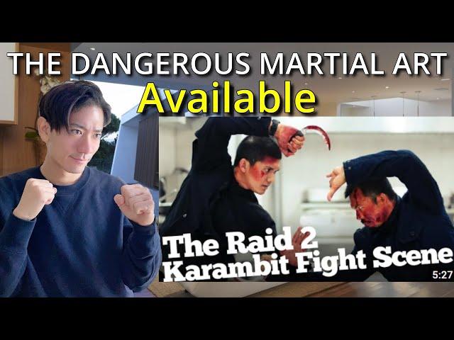 JAPANESE KARATE GUY REACTION / [BEST!] The Raid 2 Karambit Fight Scene