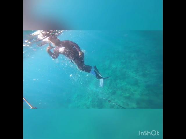 OAHU DIVING JUSTDROP