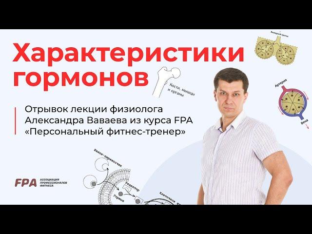 Характеристики гормонов | Ассоциация Профессионалов Фитнеса (FPA)