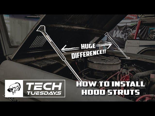 Tech Tuesday: How to Install Hood Struts on a Steel Hood