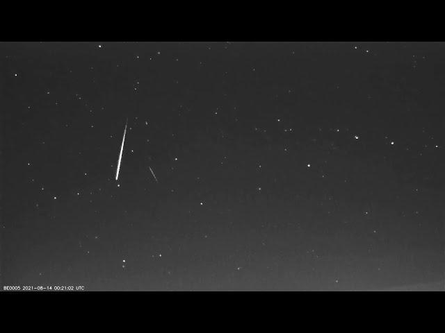 Timelapse of the Perseids Meteor Shower from Belgium