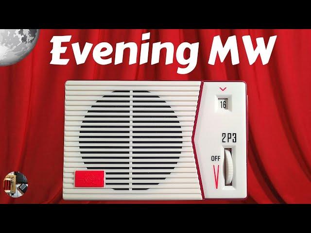 Tecsun 2P3 AM DIY Radio Kit Evening MW