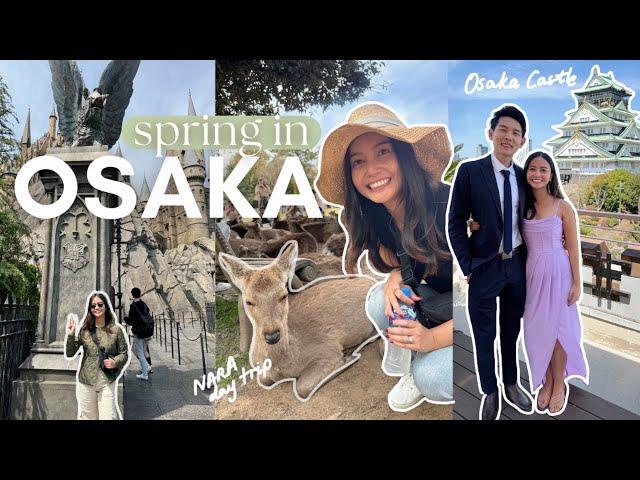 Universal Studios, Destination Wedding, Nara, Shopping and Eating in Osaka | Osaka Vlog 2024