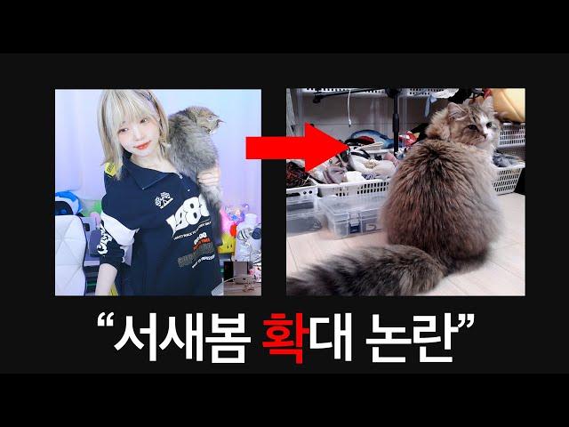 서새봄 고양이 확대 논란