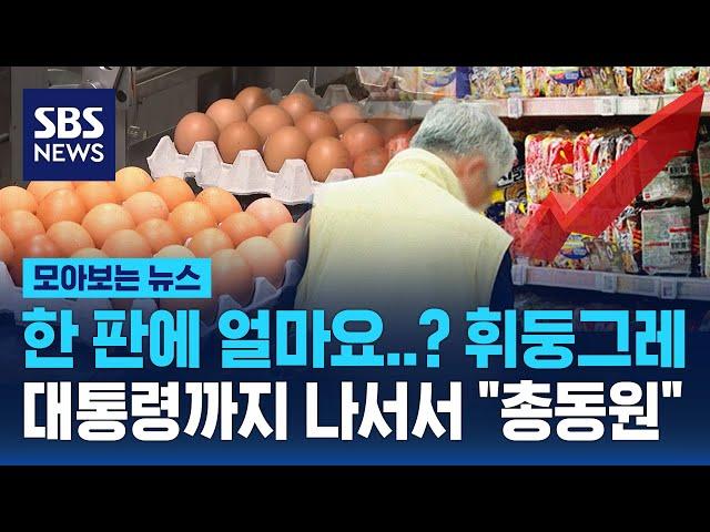 달걀 한 판에 얼마요? 휘둥그레..대통령까지 나서서 "총동원"  / SBS / 모아보는뉴스