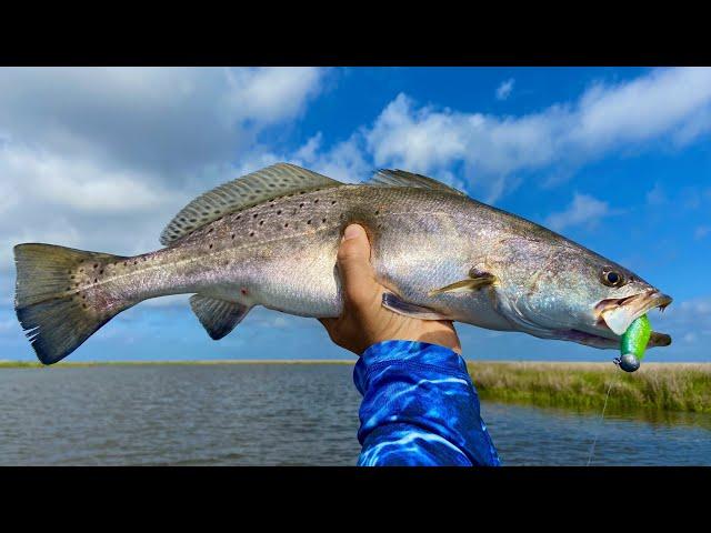 BIG Speckled Trout in Deep Holes!