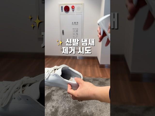 그냥 뿌렸는데 냄새가 사라졌습니다. 진짜임.