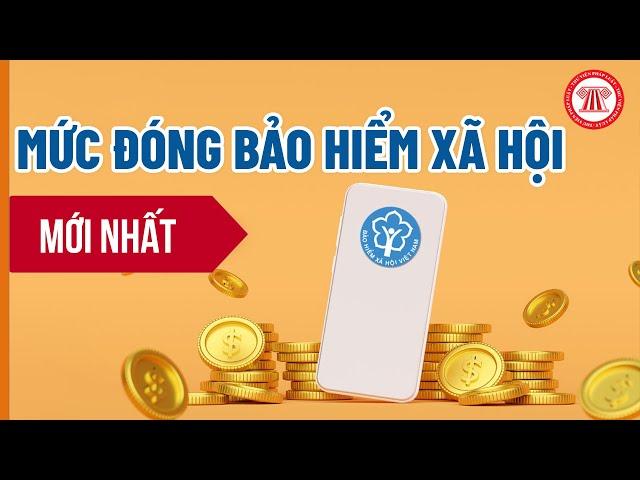 Mức Đóng Bảo Hiểm Xã Hội Mới Nhất | THƯ VIỆN PHÁP LUẬT