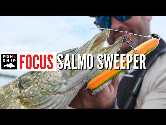 FOCUS sur le JERK SALMO SWEEPER