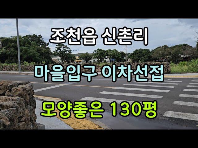 제주시 조천읍 신촌리 마을입구 이차선 도로접 모양좋은 130평 010 4436 0401 제주도부동산 토지 매매 급매물