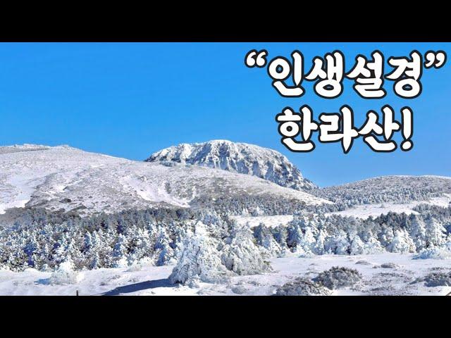 역대급 설산 풍경을 한라산에서 만나고 왔습니다!️ “한라산 윗세오름”