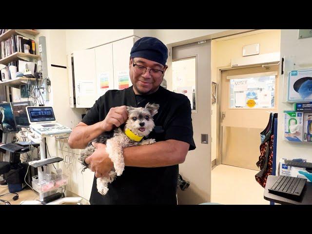 Why Leo Loves Being a Veterinary Assistant at AMC