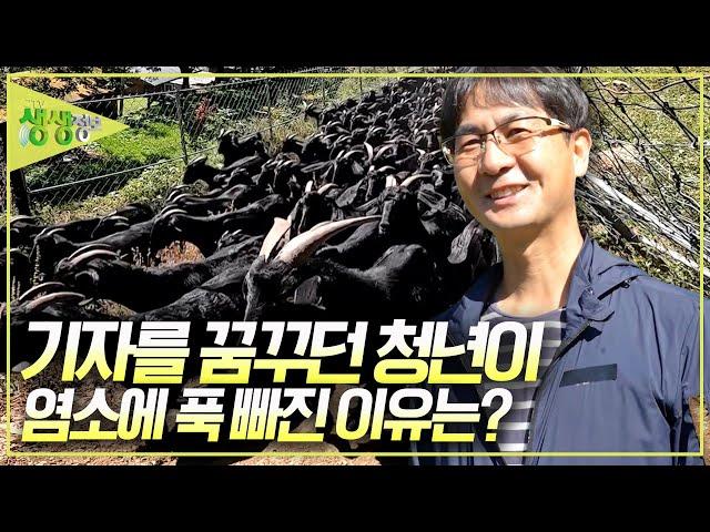 꿈많던 정치외교학과 학생! 450마리 염소의 아빠가 되다 [2TV 생생정보] | KBS 20241007 방송