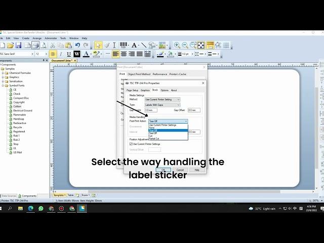 TSC TTP-244 Pro Printer - Printer Properties Settings