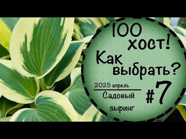 Садовый зыринг #7 ️Вы удивитесь какие бывают хосты️ 100 сортов хостов️