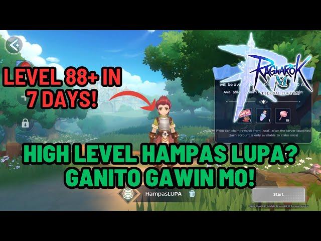 Ragnarok M: Classic F2P POWER LEVELING on the First Week ULTIMATE GUIDE ALL YOU NEED TO KNOW