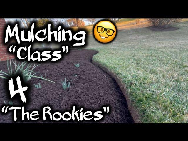 NEVER make these MISTAKES MULCHING… you are DOING IT WRONG!!