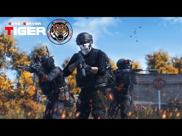 Обзор на ЛУЧШИЙ PVP сервер TIGERS. Всё ещё топ? Dayz PVP