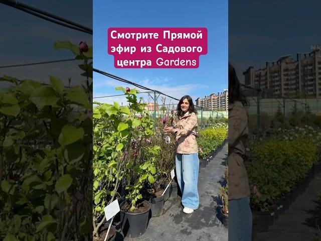 В ВИДЕО В ЛЕНТЕ. 40 минут о растениях и красоте  #одинцово #дача #сад #садовыйцентр