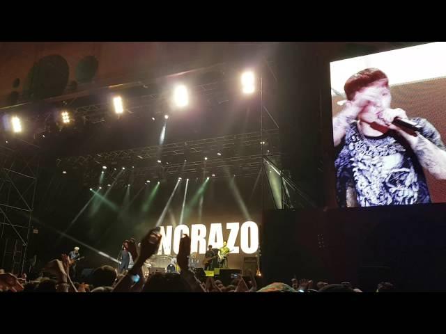 Korea rock festival / Norazo band - 카레(curry)  