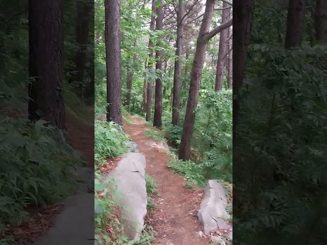 그래서 산이조아조아~ ㄷㄷ