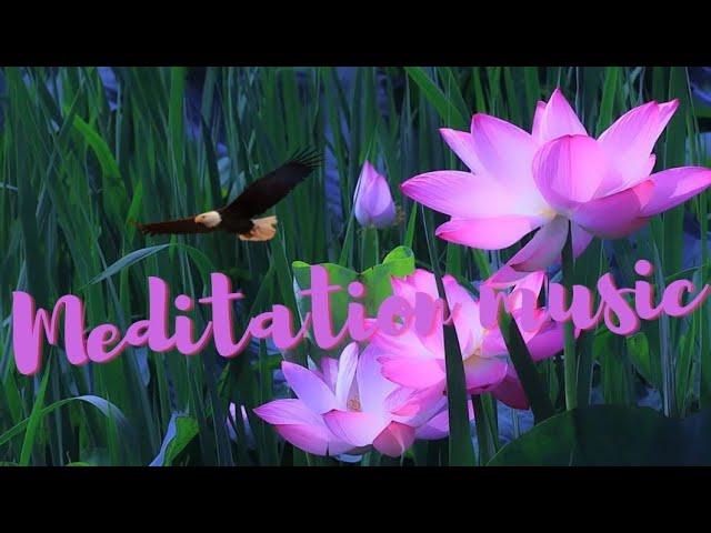 Meditation music - Music for meditation - Sounds for meditation