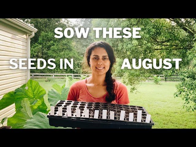 What to Plant in August Zone 9 | Florida garden