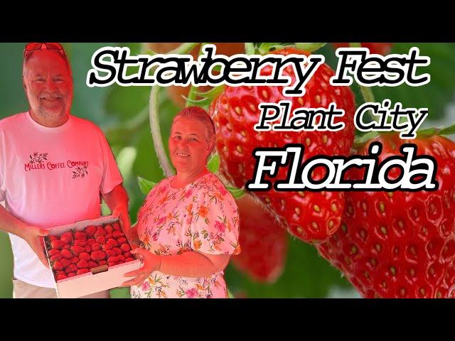 Florida Strawberry  Festival  | ￼ Fresh Donut  W/ Chocolate  , Strawberries & Whipped Cream