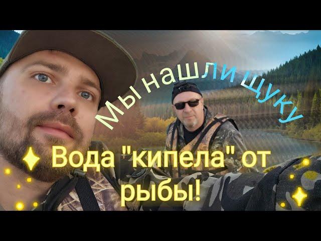 В краю щук и окуней на спиннинг. Вы такого еще не видели, вода кипела от окуня.