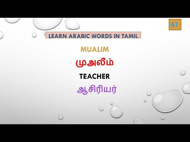 Arabic language learning in tamil | Arabic words through tamil part-1 #arabic #learnarabicintamil